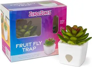 ZendoZones® Fruit Fly Trap Serene Sandy, White Base